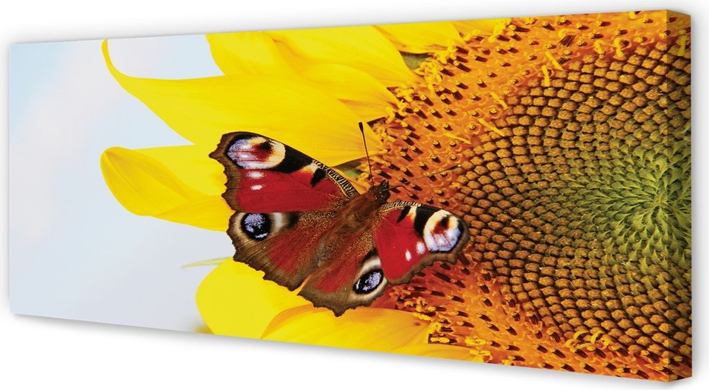 Leinwandbild 125x50 Wandkunst Sonnenblume Schmetterling