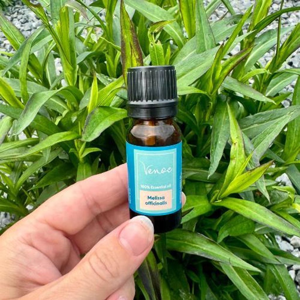 Ätherisches Öl aus Zitronenmelisse von Venoc, 10 ml