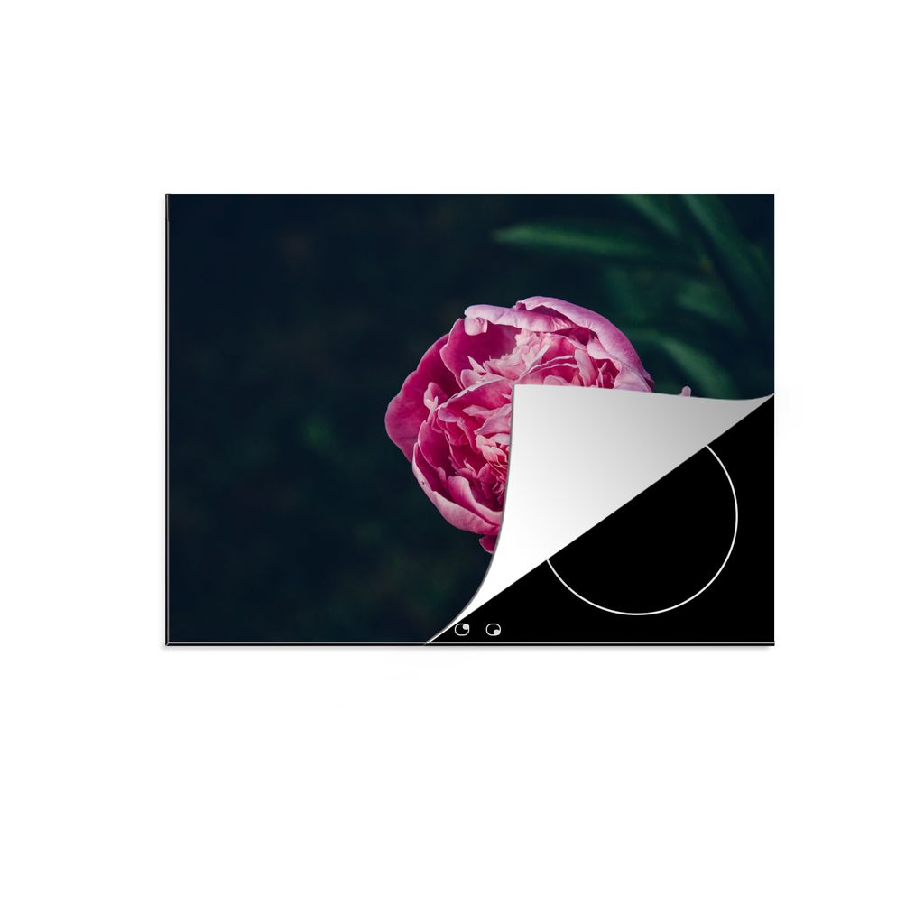 KitchenYeah Herdabdeckplatte Blumen - Rosa - Rosen , 57x51cm, Küche Deko, Glaskeramikkochfeld Herdabdeckung, Abdeckplatte fùr Kochfeld