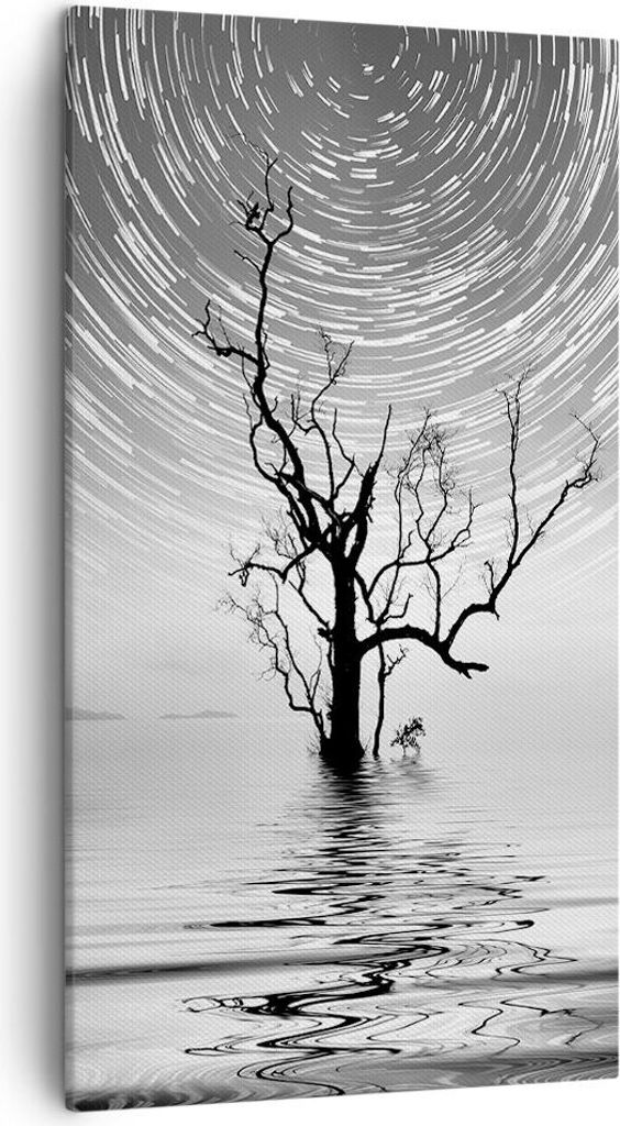 Bild auf Leinwand - Leinwandbild - Einteilig - Schwarzweiß Baum See - 45x80cm - Wand Bild - Wanddeko - Wandbilder - Leinwanddruck - Bilder - Wandd...