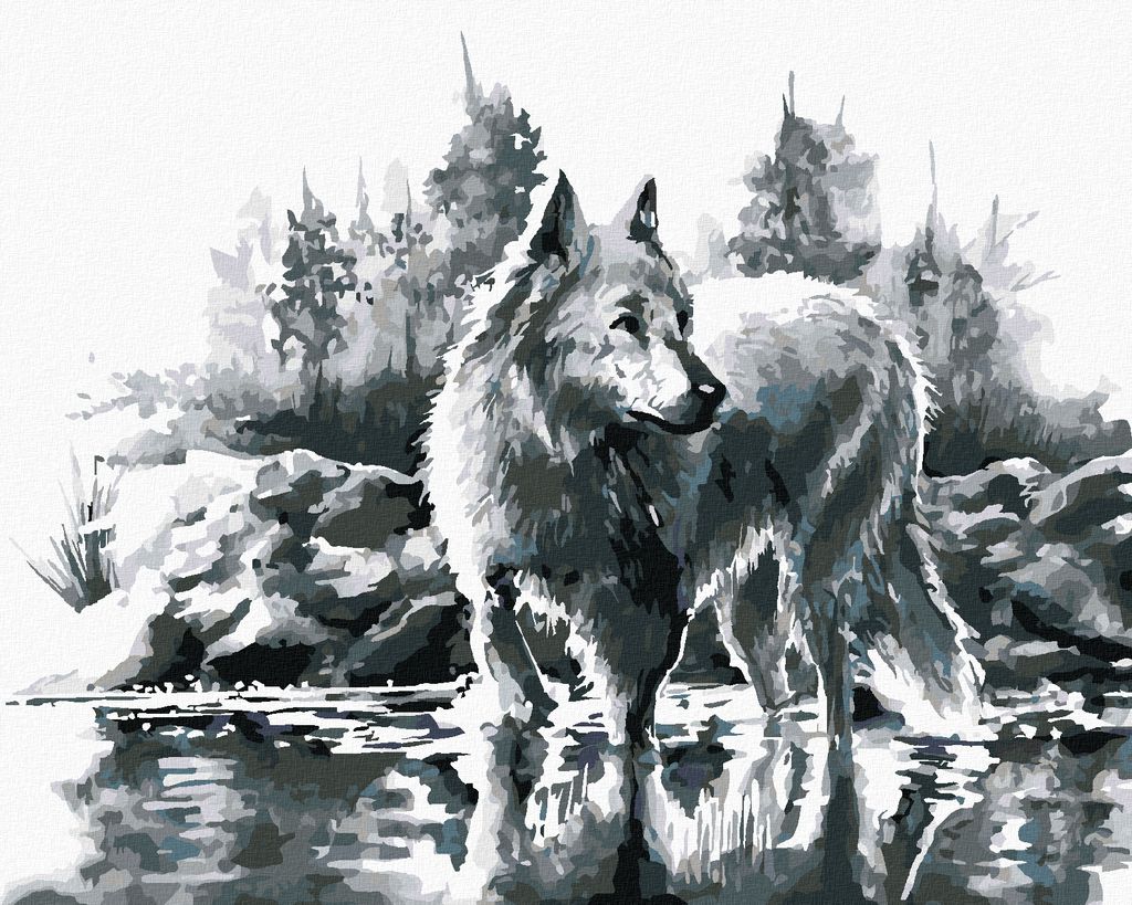Zuty - Malen nach Zahlen - WEISSER WOLF, 40x50 cm, ohne Keilrahmen
