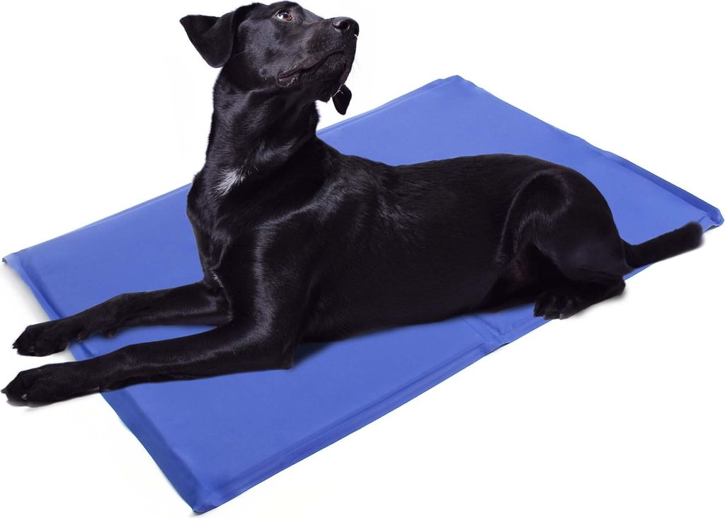 Kühlmatte Für Hunde – 107,7 X 71,1 Cm, Rutschfeste Unterseite, Waschbar, Mit Eisseide, Für Auto, Kiste & Zuhause