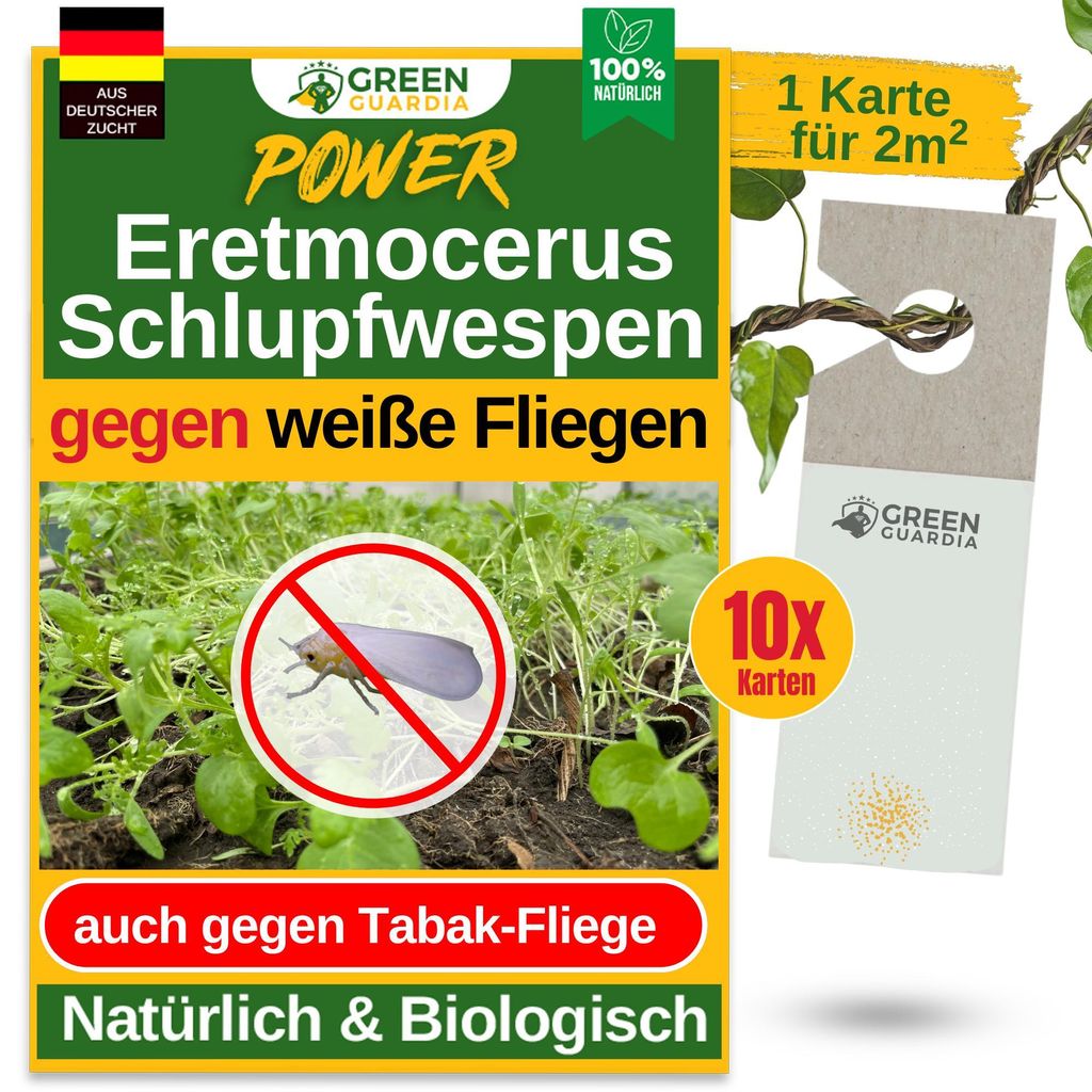 Eretmocerus Schlupfwespen gegen weiße Fliegen & Tabakfliegen - 10 Karten für 50 m² - Weiße Fliegen bekämpfen, Tabakfliegen bekämpfen, natürlich