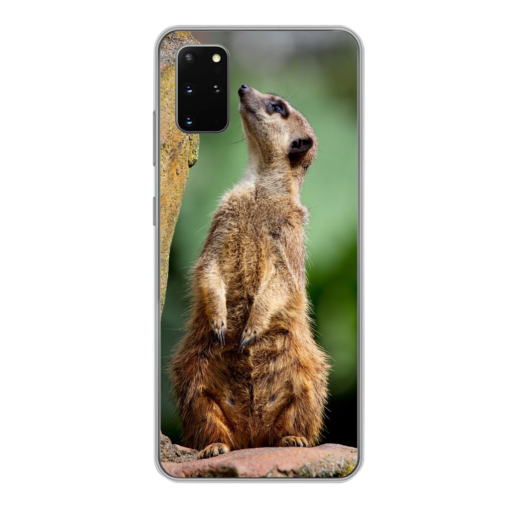 MuchoWow Handyhülle Schutzhülle Hülle für Samsung Galaxy S20 Plus Erdmännchen - Tier - Rock Silikon Softcase Handy Hülle - Hartschale