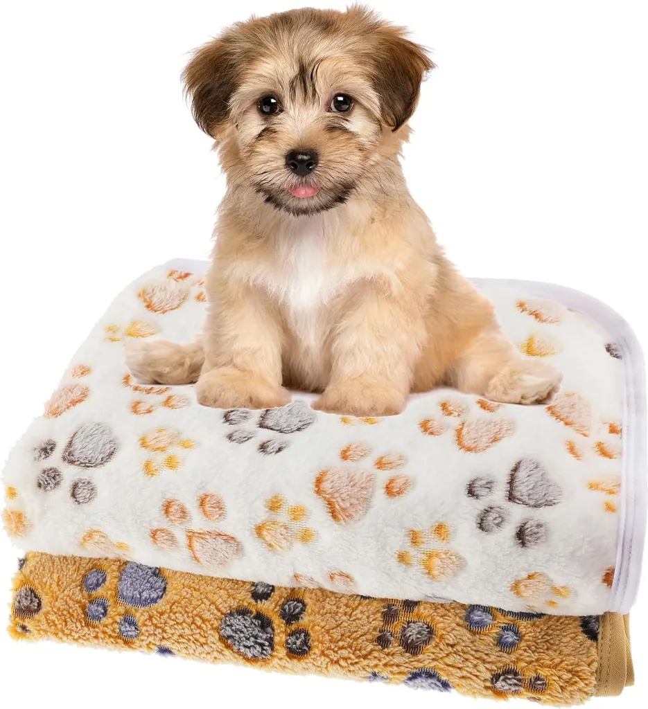 WLLHYF 2pz Copertina Pets Flanella | Anti-pelo e Caldo Soffice