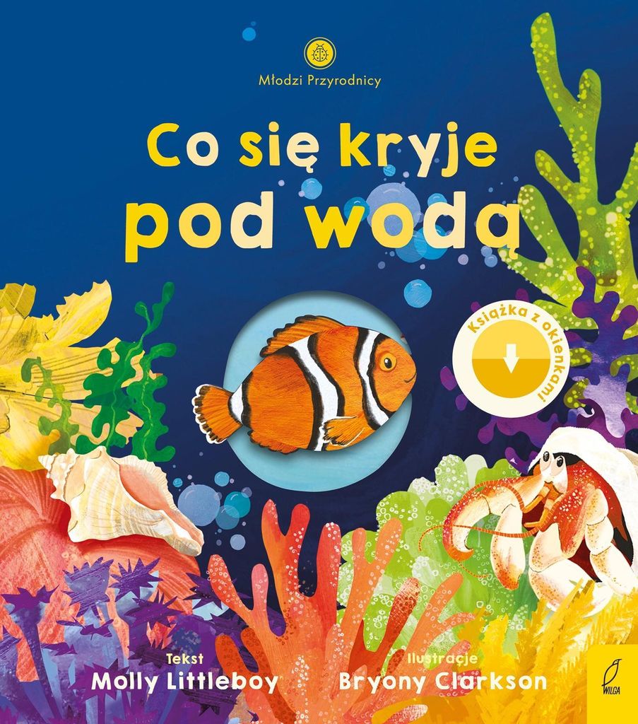 M³odzi przyrodnicy Co siê kryje pod wod¹ Molly Littleboy (Buch auf Polnisch)