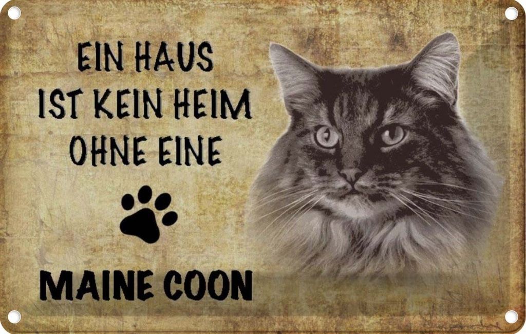 vianmo Blechschild 20x30 cm Maine Coon Katze ohne kein Heim Tier Haustier