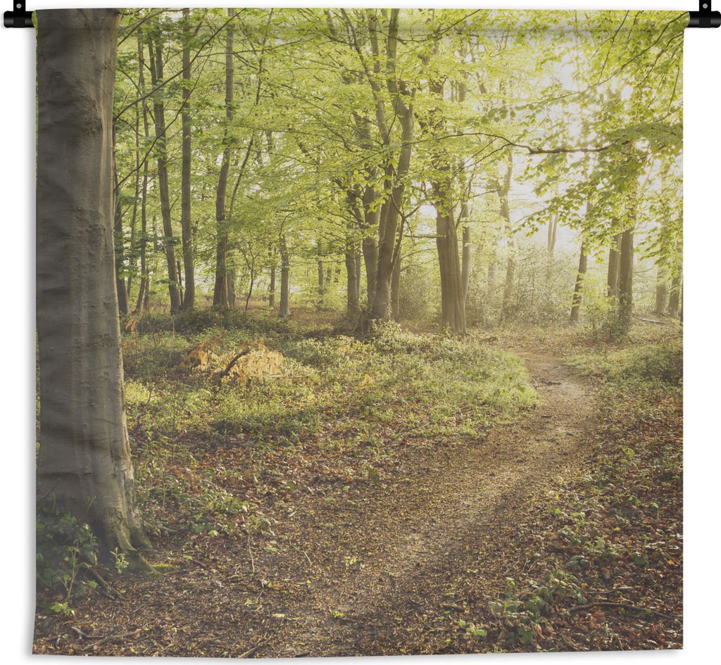 MuchoWow Wandteppich Wandbehang Wald - Weg - Sonnenaufgang 150x150 cm Tapisserie Dekoration Wandtuch - Wohnaccessoires - Modernes