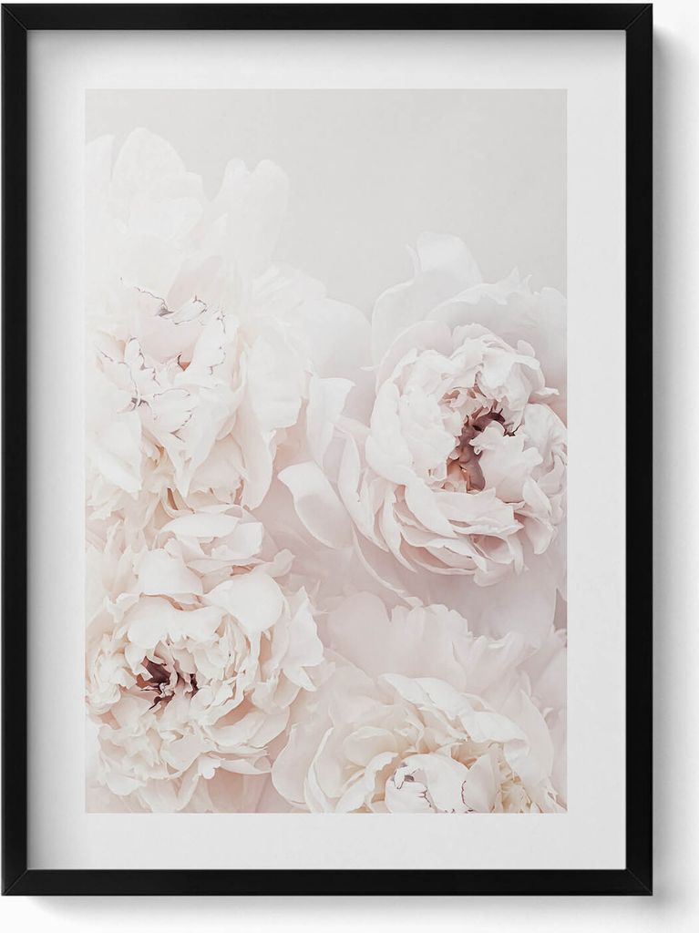 Pfingstrosenblüten– Wandbild mit Rahmen – Gerahmtes Bild – Wanddekoration – 50x70 cm – Schwarz Rahmen