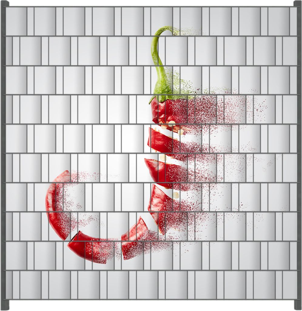 Wallario Zaunsichtschutz mit Motiv Chilischote löst sich in Pulver auf für Ein- und Doppelstabmatten Zäune in der Größe 200 x 200 cm