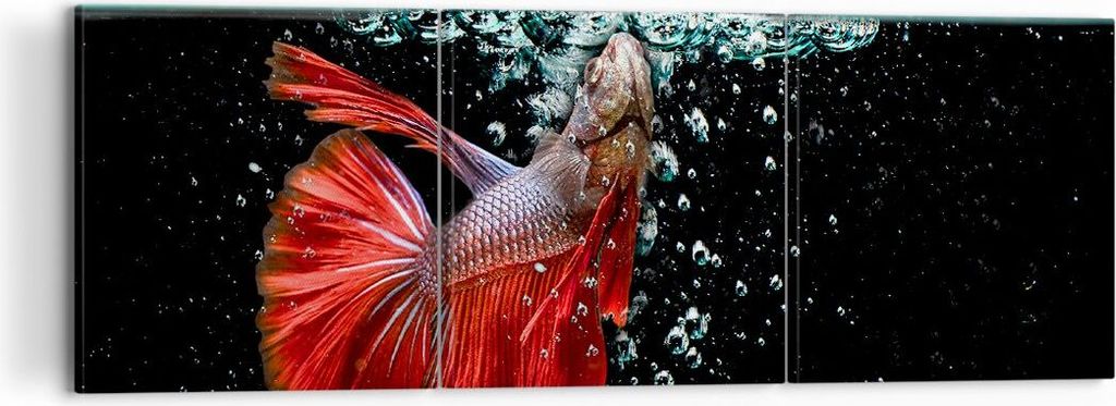 Bild auf Leinwand - Leinwandbild - Fisch Wasser Natur - 120x40cm - Wand Bild - Wanddeko - Leinwanddruck - Bilder - Kunstdruck - Wanddekoration - Le...