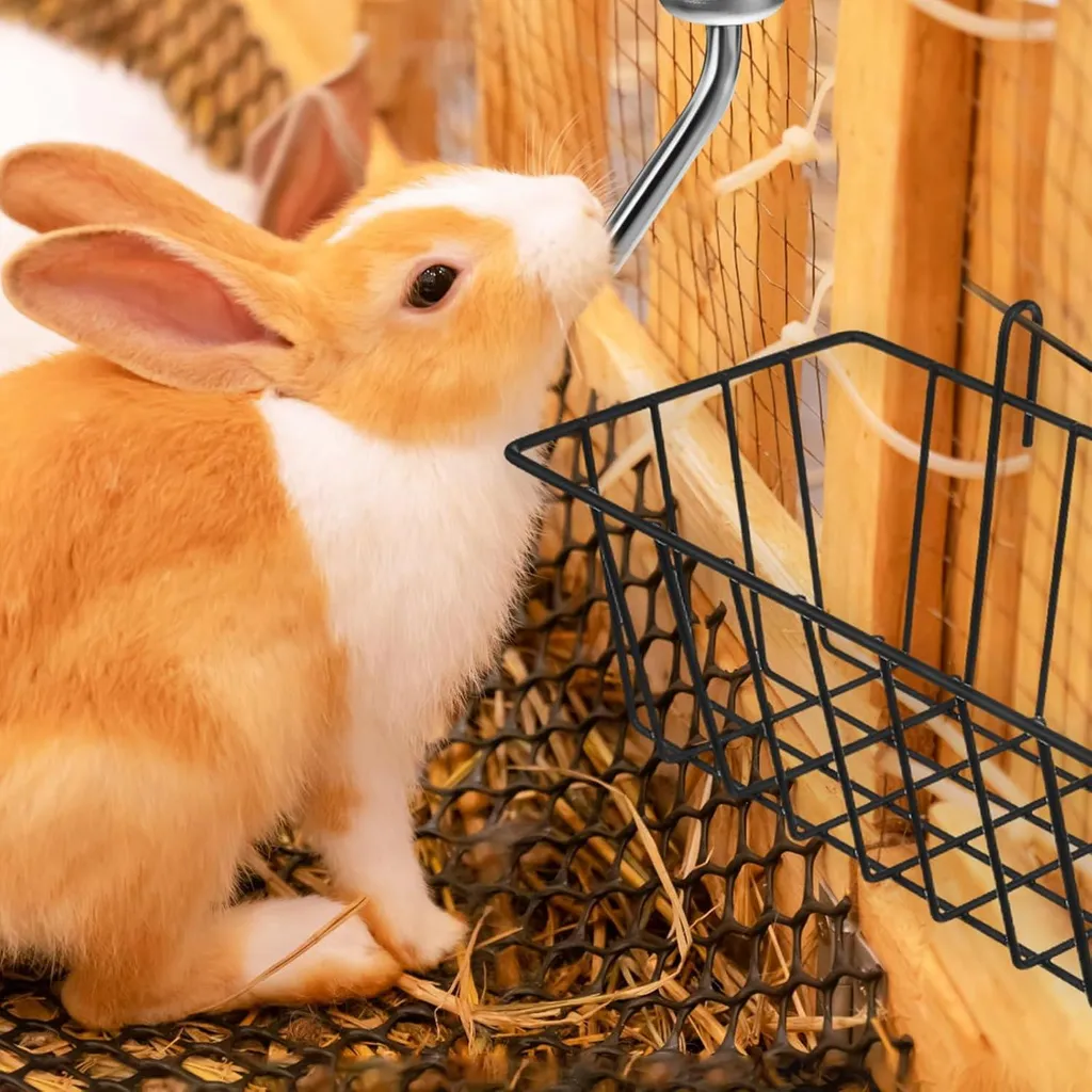 Mangeoire foin anti-gaspillage en métal avec bouteilles eau pour cage