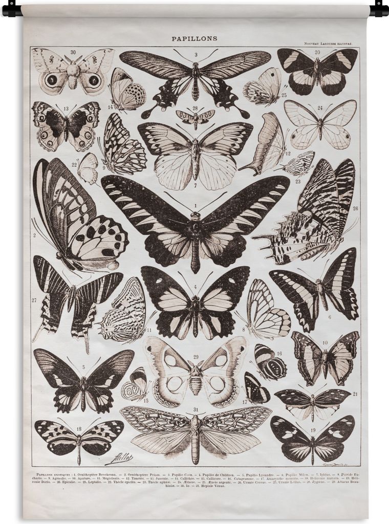 MuchoWow Wandteppich Wandbehang Schmetterling - Insekten - Tiere 120x180 cm Tapisserie Dekoration Wandtuch - Schlafzimmer - Dekorationen für das...