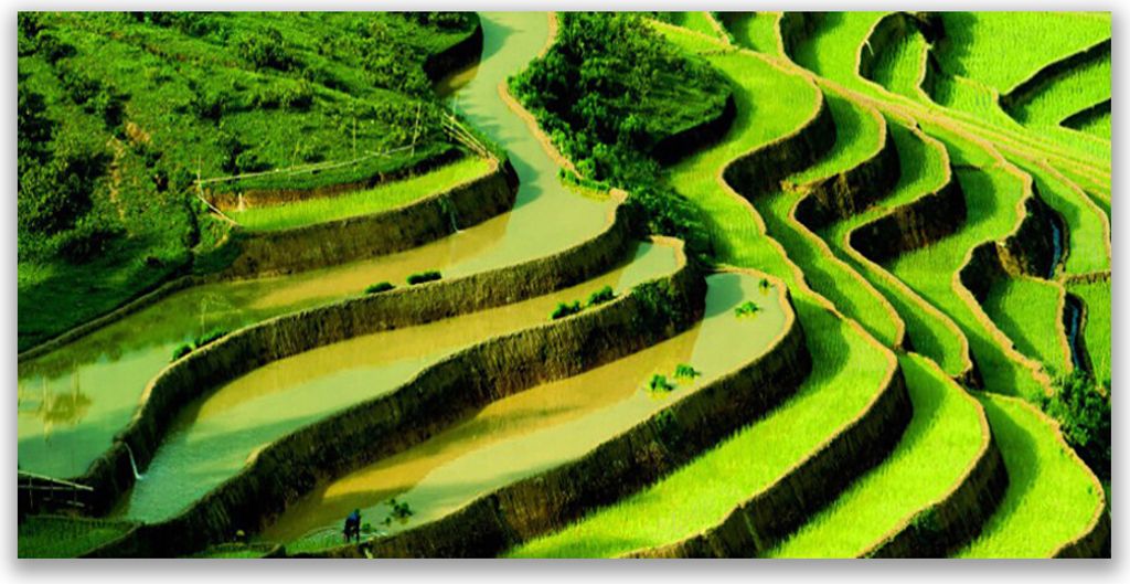 Tulup Leinwand-Bilder 120x60 Wandbild Canvas Kunstdruck Wald Natur