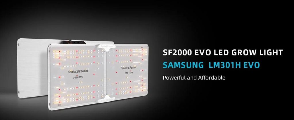 Growbox Set - SF2000 LED Pflanzenlampe - 120×60×180 cm - 200 W Vollspektrum - 10 cm Rohrventilator - 15 cm Clip-Ventilator DC - Drehzahlregler Dr...