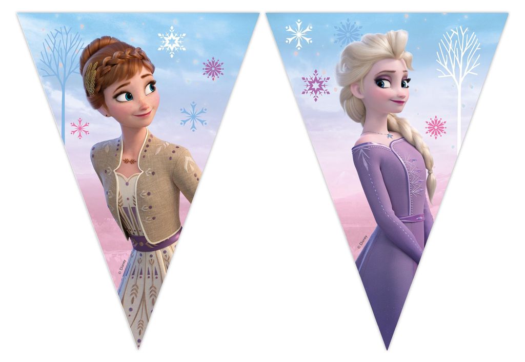 Bandiera FROZEN II 9Mix, Procos Immagine del prodotto 
