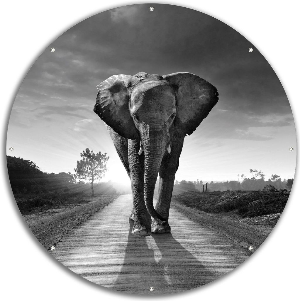 Wallario rundes Outdoor-Poster für Garten oder Balkon, Motiv Elefant bei Sonnenaufgang in Afrika schwarzweiß, 60 cm Durchmesser