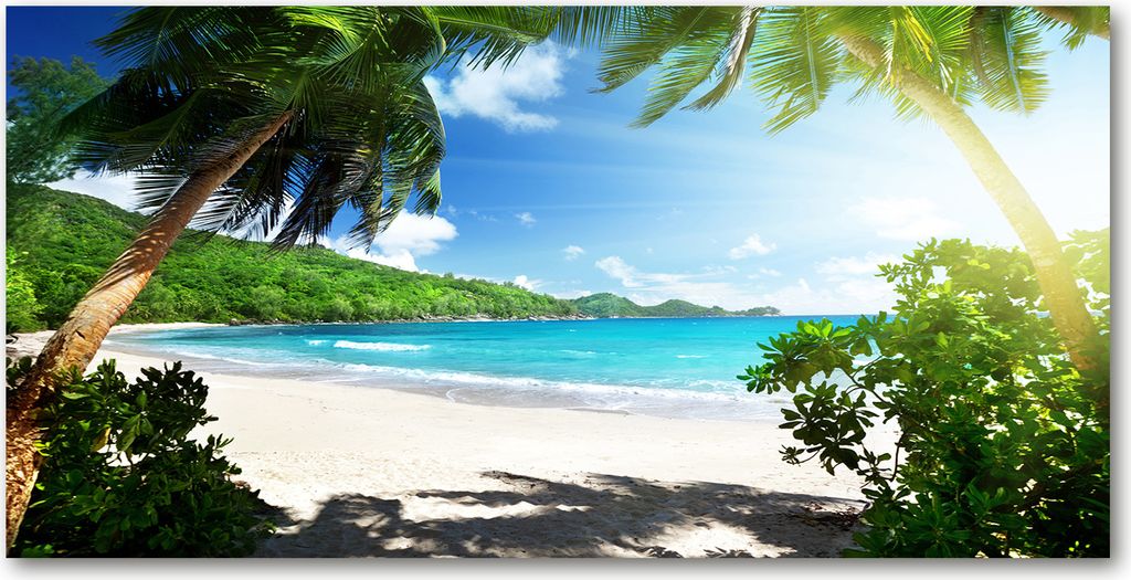 Tulup Glas-Bild - 100x50 -Wandkunst - Wandbild hinter gehärtetem Sicherheitsglas - Landschaften - Seychellen Strand - Grün