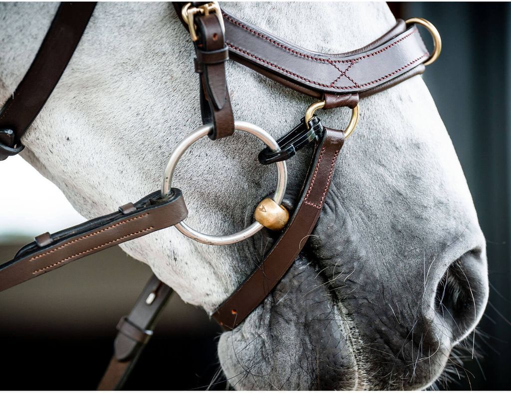 Uzdečka Horseware Micklem II Multi, velikost:Thoroughbred, Obrázek produktu 5