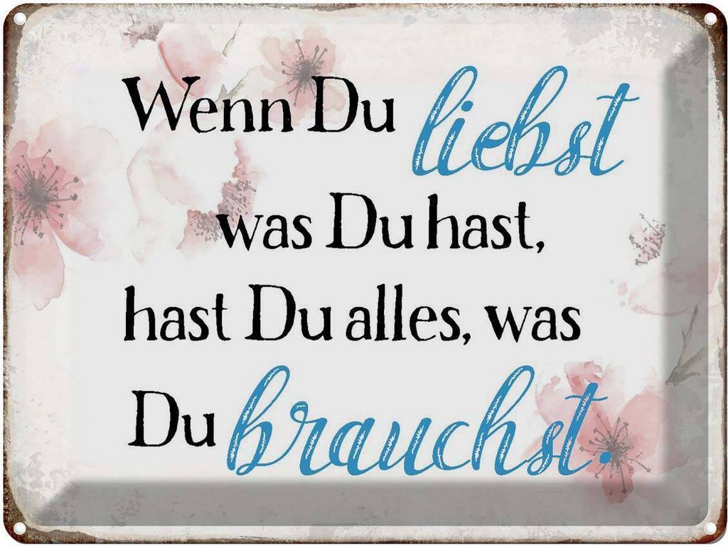 vianmo Blechschild 30x40 cm wenn du liebst was hast Spruch Zitat