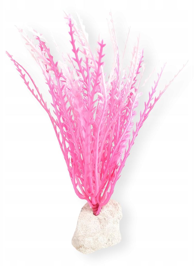 Aquariumpflanze K5 Naturstein-Sockel 20x15cm