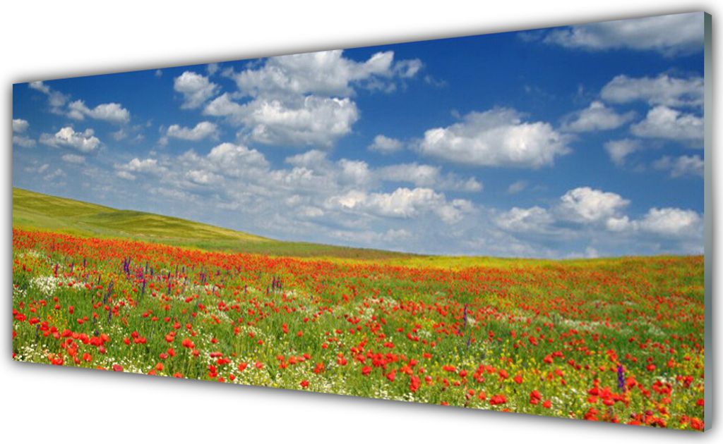 Glasbilder 125x50 Wandbild Druck auf Glas Wiese Blumen Landschaft