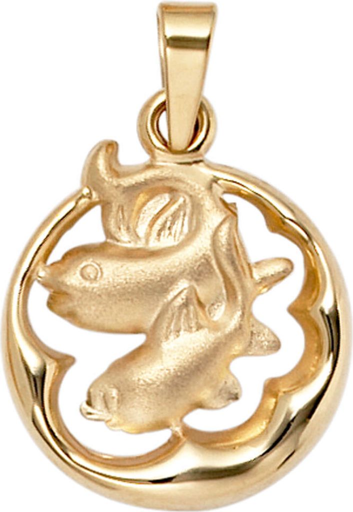 Anhänger Sternzeichen Fische 375 Gold Gelbgold teilmattiert Horoskop