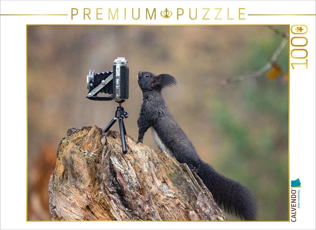 CALVENDO Puzzle Ein Motiv aus dem Kalender Oachkatzl | 1000 Teile Lege-Größe 64x48cm Foto-Puzzle für glückliche Stunden