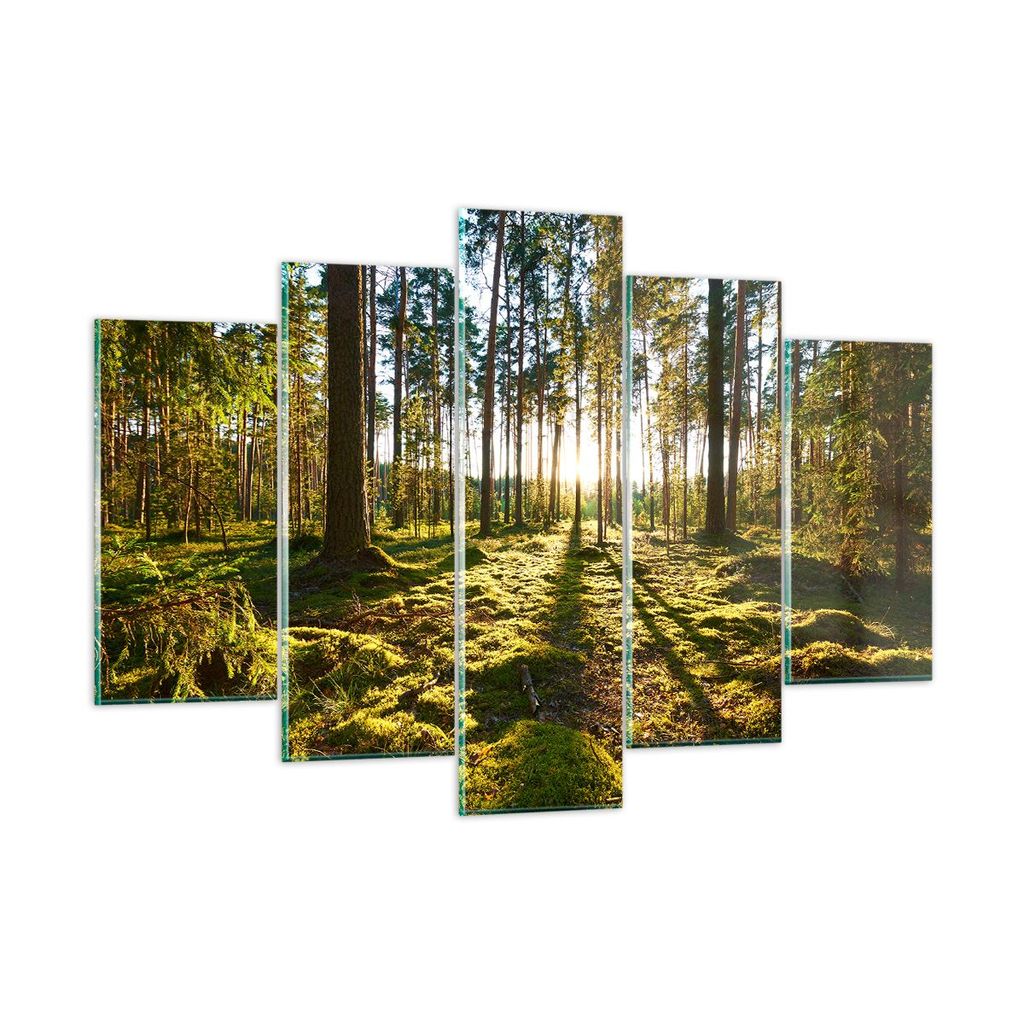 Bilder auf glas - Wald Baum Natur - 150x100cm - Glasbilder - Wandbilder - Kunstdruck - zum Aufhängen bereit - Wanddekoration aus Glas - Glas Bilde...