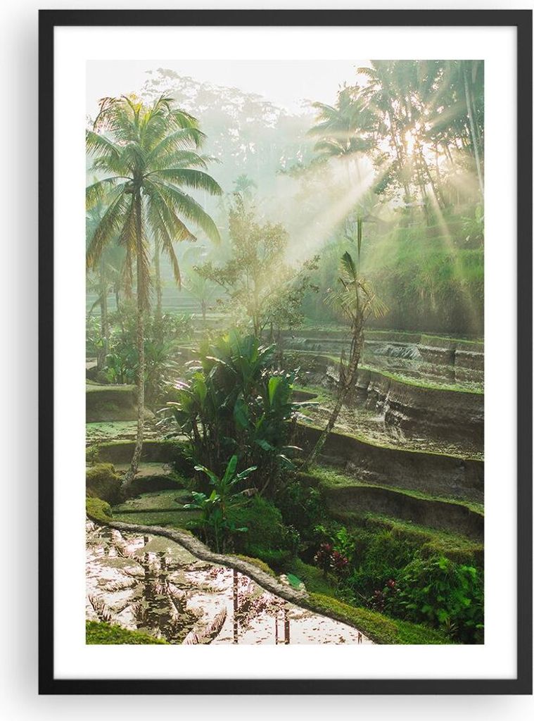 Gerahmtes Poster - Schwarzer Rahmen - Terrassen Reis Palmen - 50x70 cm - Wand Bild - Wanddeko - Wandbilder - Kunstposter - Wandposter - Bilderrahme...