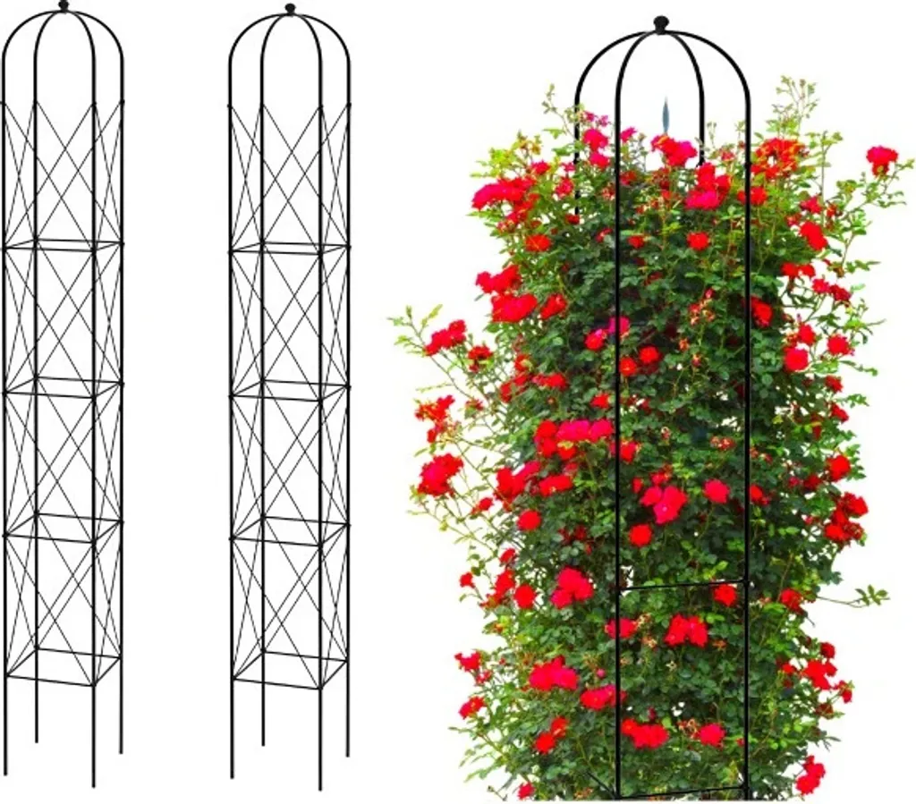Treillis de Jardin pour Créer une Arche de Roses Noire H200 LARGE x2