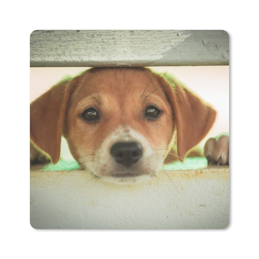 MuchoWow Mauspad Mousepad Ein Welpe schaut durch einen Zaun 20x20 cm - Mousepads - Maus Mat - Pad - Mausunterlage - Desk Mat - Bureauartikeln