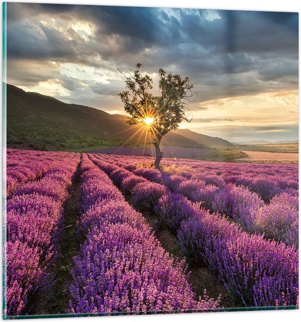 Bilder auf glas - Lavendel Berge Feld - 70x70cm - Glasbilder - Wandbilder - Kunstdruck - zum Aufhängen bereit - Wanddekoration aus Glas - Glas Bil...