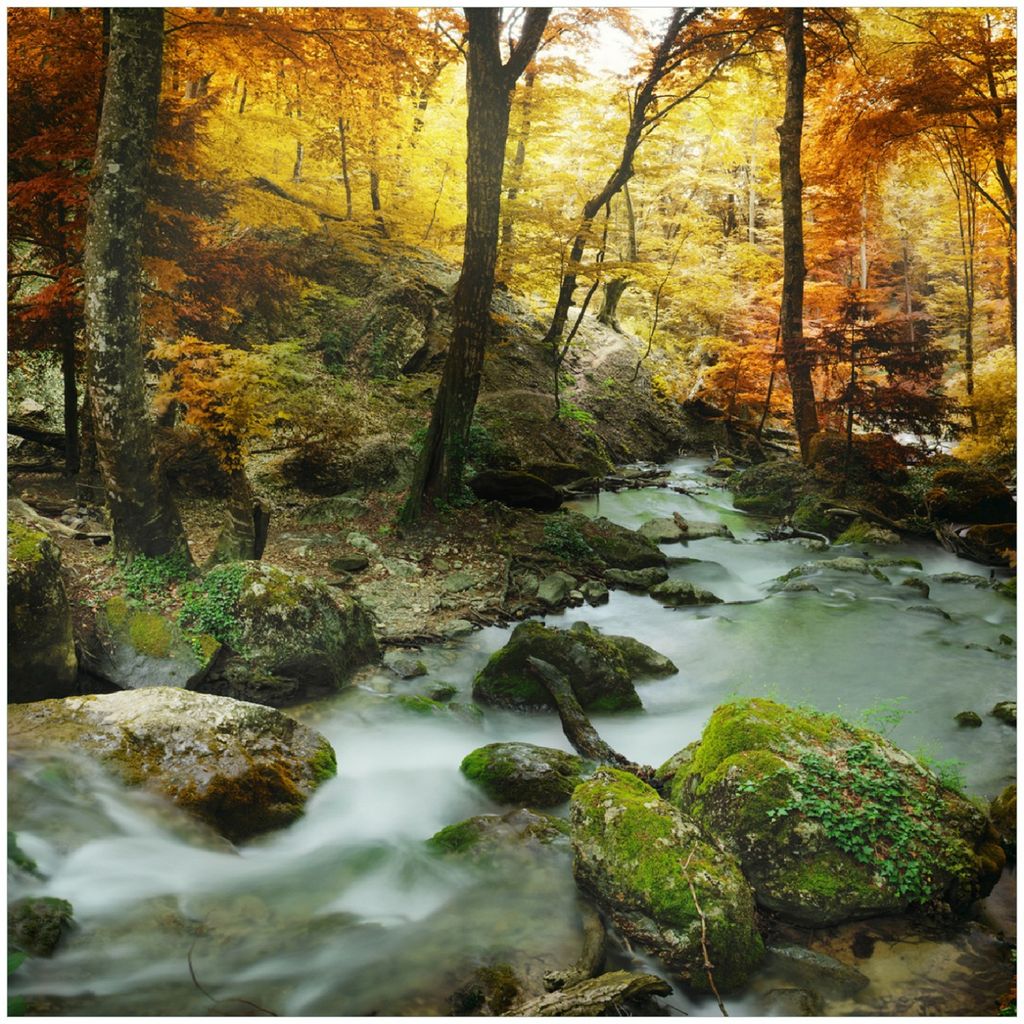 Wallario Premium Glasbild, freischwebende Optik, kräftige Farben, Größe 30 x 30 cm Motiv Wasserfall mit moosbedeckten Steinen im Herbstwald