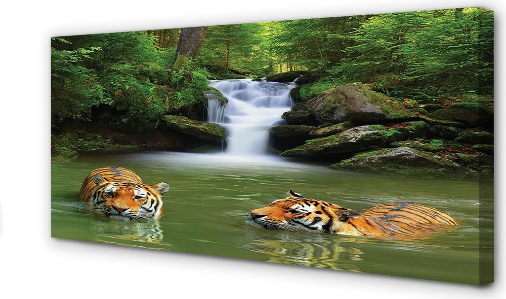 Leinwandbild 100x50 Wandkunst Wasserfall Tiger