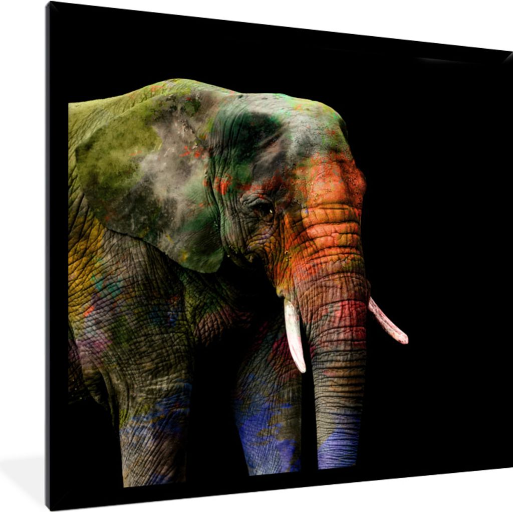 MuchoWow MuchoWow Gerahmtes Poster Elefant - Farben - Tier 40x40 cm - Poster mit zchwarzem Bilderrahmen - Mit Rahmen - Wanddekoration Schlafzimmer