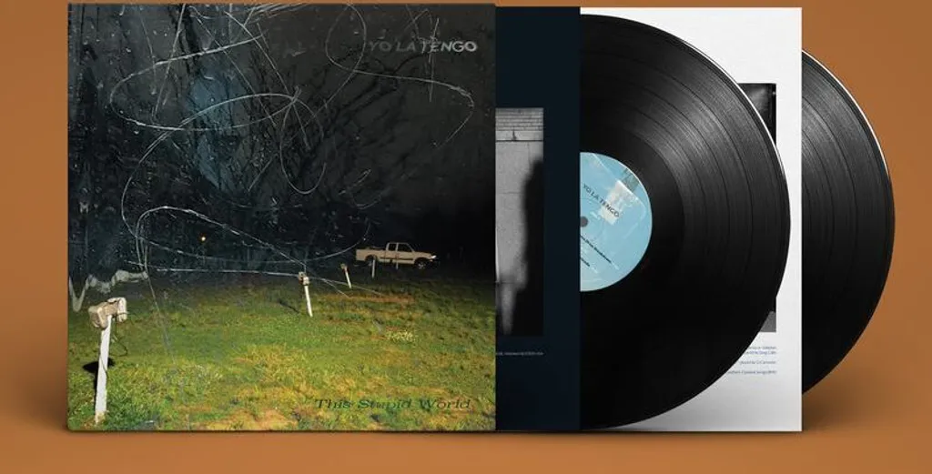 Musique Vinyle Yo La Tengo This Stupid World pour Platine Hi-Fi LP