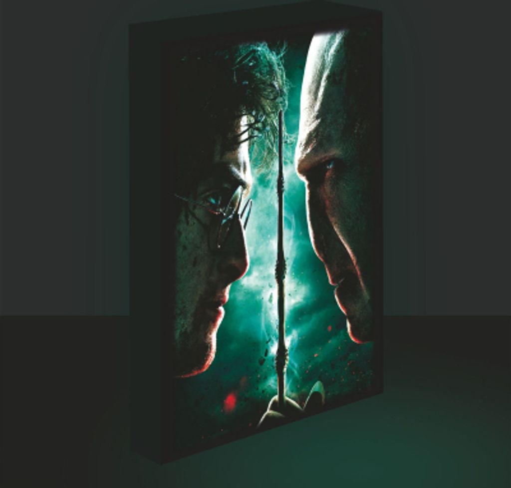 Obraz LED svítící 30x40, Harry potter - Harry vs. Voldemort