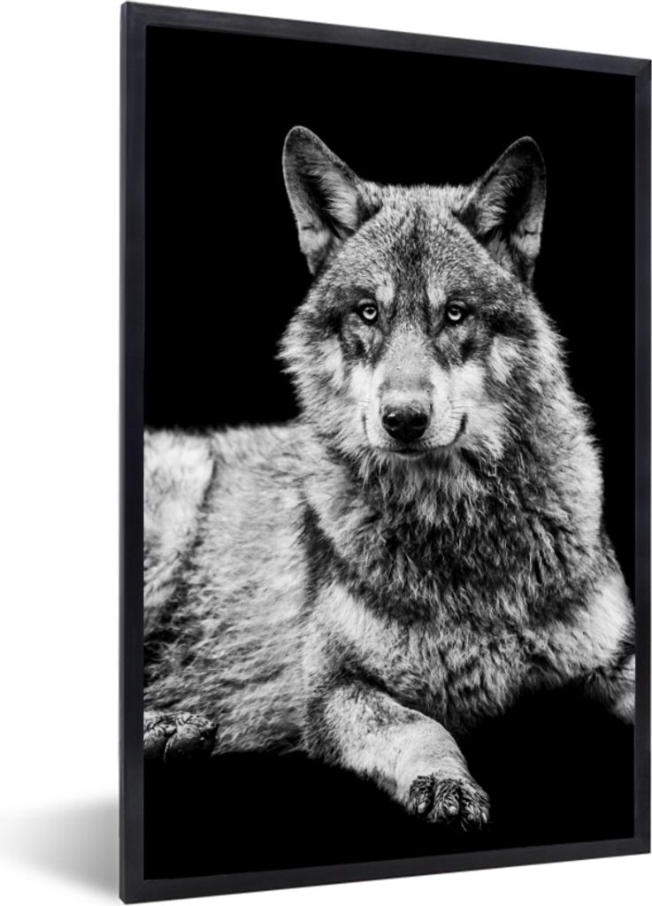 MuchoWow Gerahmtes Poster Wildlife - Wolf - Schwarz - Weiß 20x30 cm - Poster mit Schwarzem Bilderrahmen Wandposter Rahmen Foto Bilder - Drucken ...