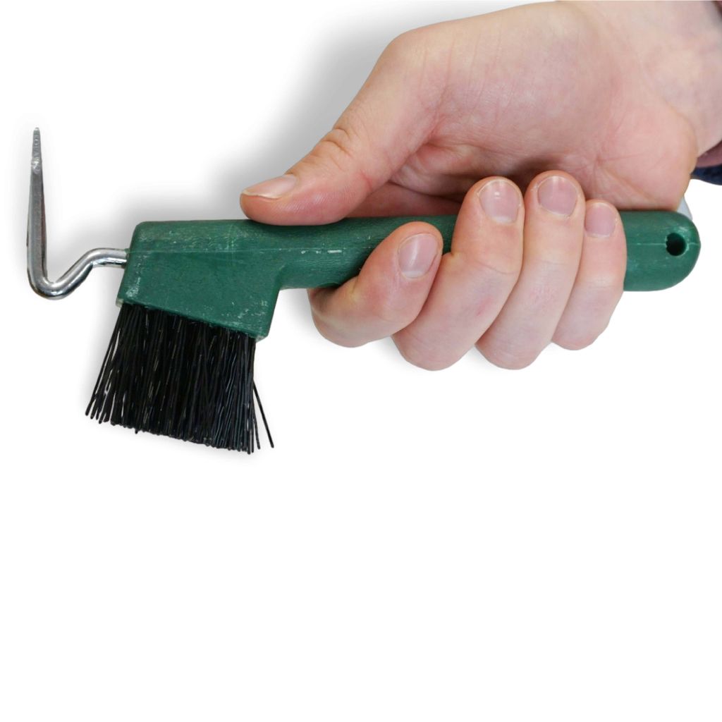 Hufkratzer für Pferde Esel Ziegen Huf mit extra Stabiler Bürste, Farbe dunkelgrün