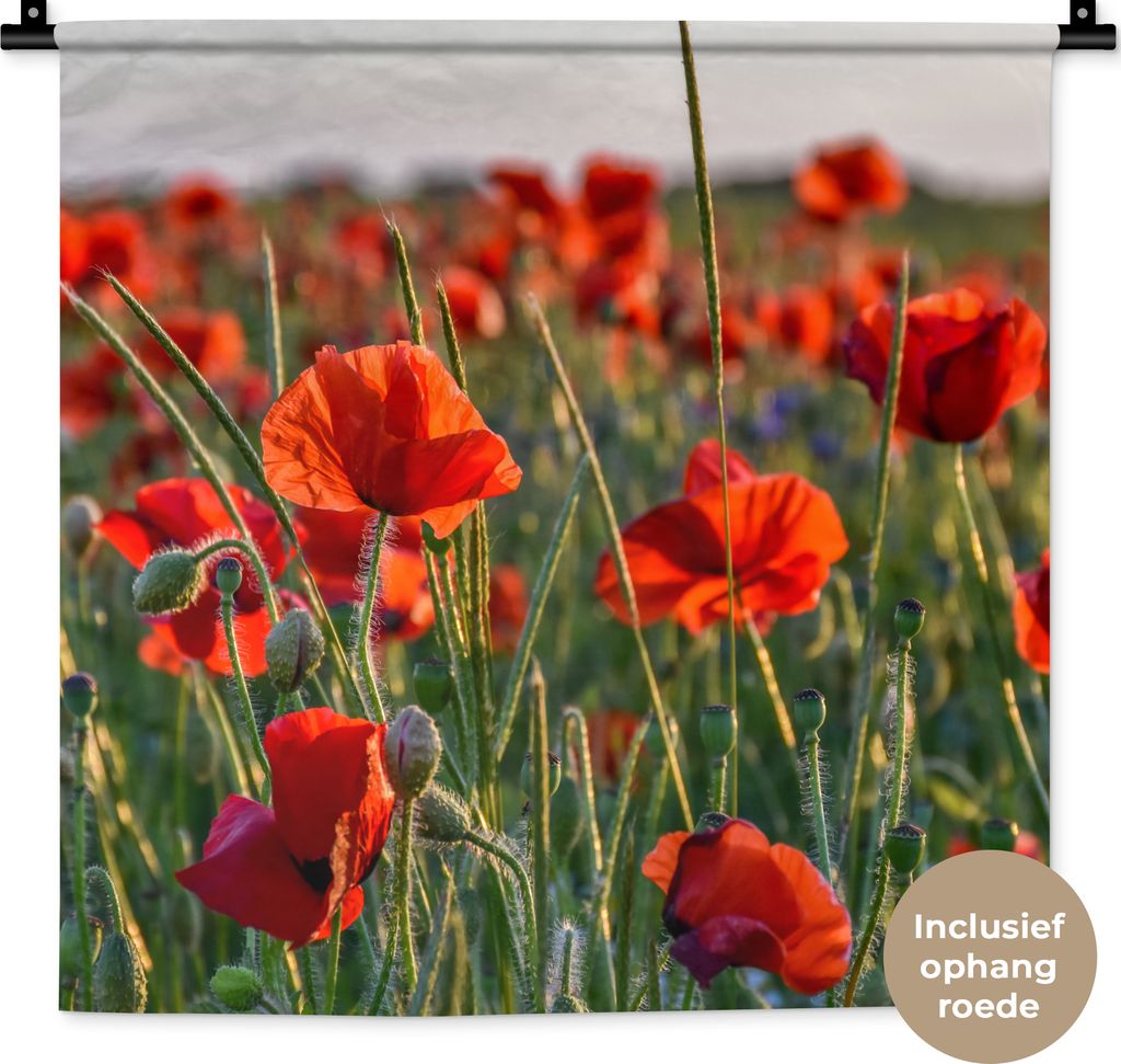 MuchoWow Wandteppich Wandbehang Blumen - Mohnblumen - Natur - Rot 60x60 cm Tapisserie Dekoration Wandtuch - Dekorationen - Wand Decke