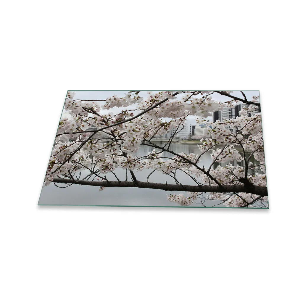 Coprifornelli Artistico 80x52 in Vetro | Fiori Rosa per Alzatina Cucina