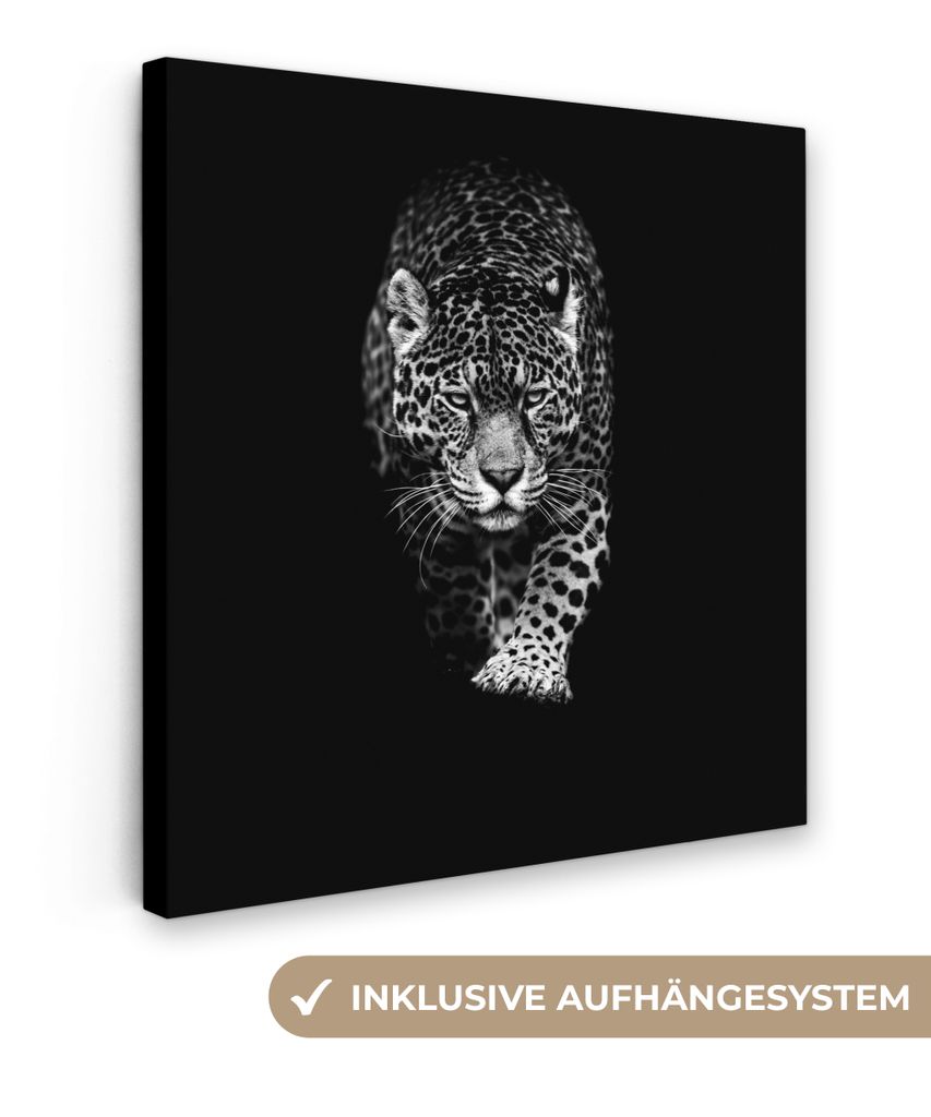 MuchoWow - Leinwandbilder - Tiere - Schwarz - Leopard - Weiß - Wild, Wandbild, Wanddeko Bilder Wohnzimmer, 20x20 cm