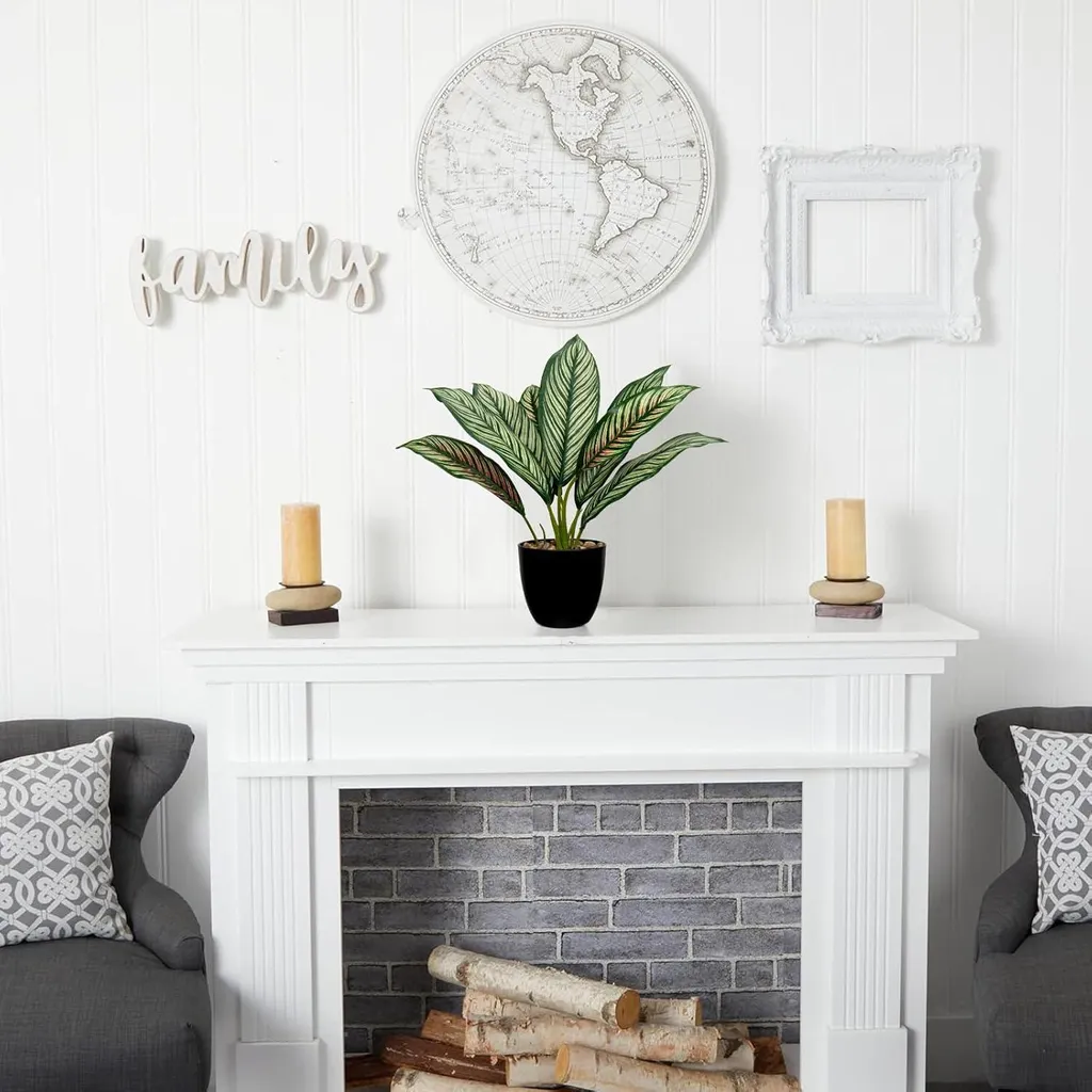 Calathea artificiel 33cm idéal pour décorer un bureau sans lumière