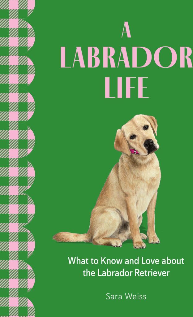 A Labrador Life