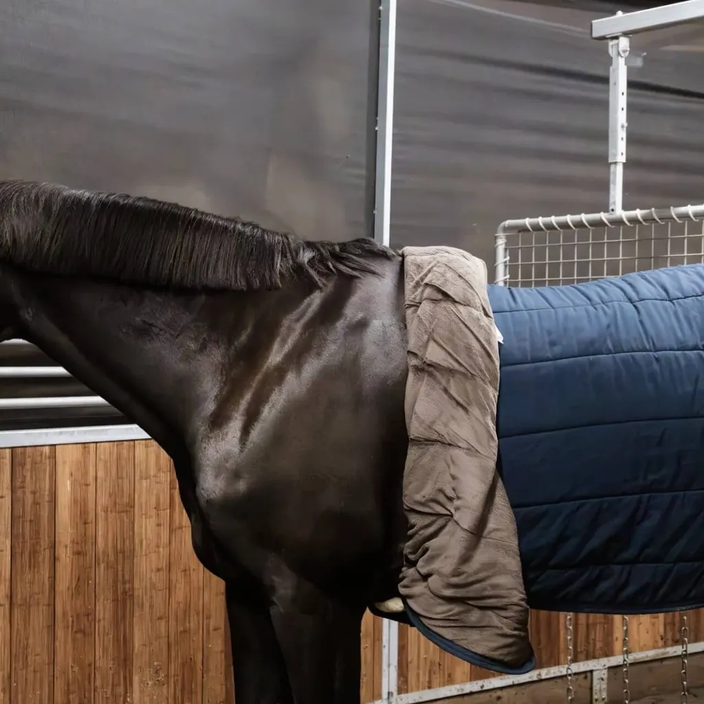 Sangle de Marcheur pour Cheval en Nylon Doublée Fourrure de Mouton - 5