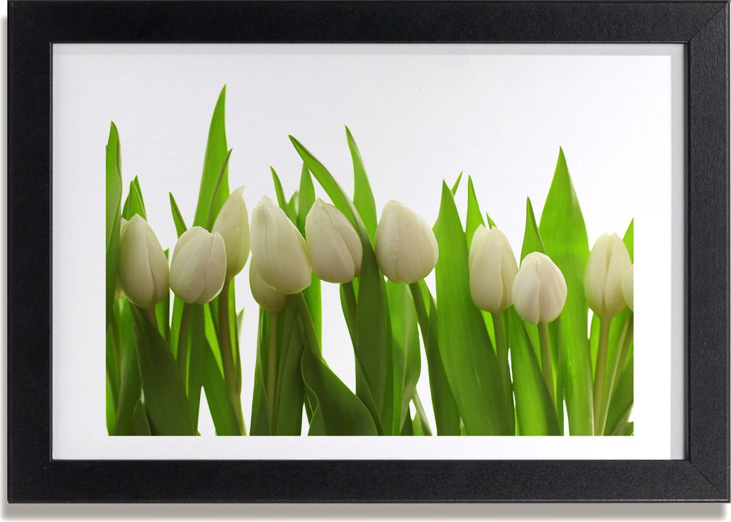 Bild 30x20 MDF-Rahmen, Wandkunst weiße Tulpen