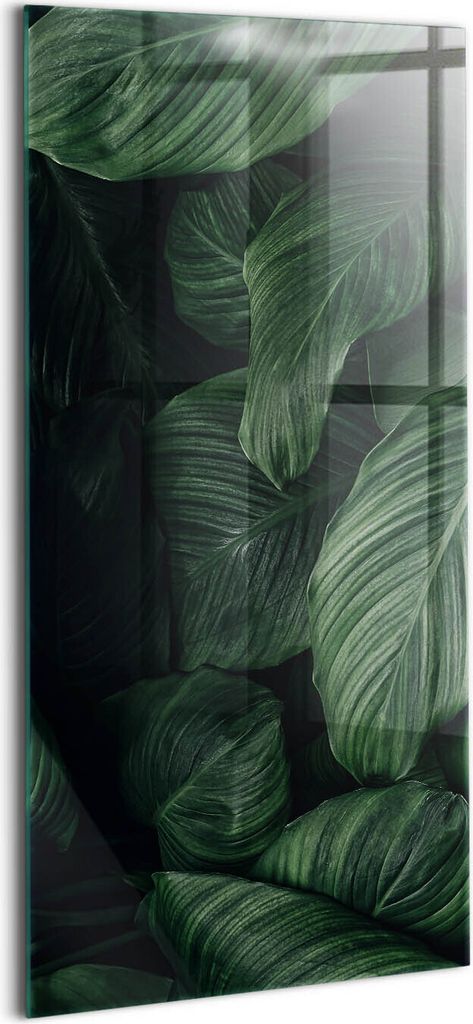 Designer Glasbild - Wandbild - Glas Bild - 50x100 cm - Tropische Monstera