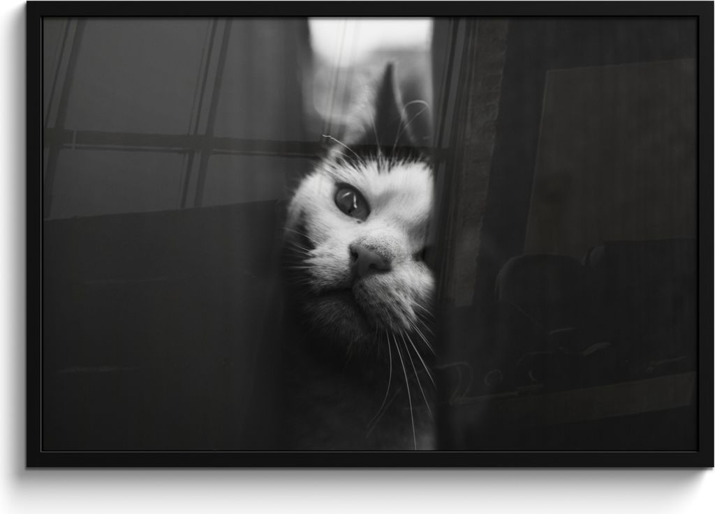 MuchoWow MuchoWow Gerahmtes Poster Tierprofil Spionage Katze in schwarz und weiß 90x60 cm - Poster mit zchwarzem Bilderrahmen - Fotorahmen - F...