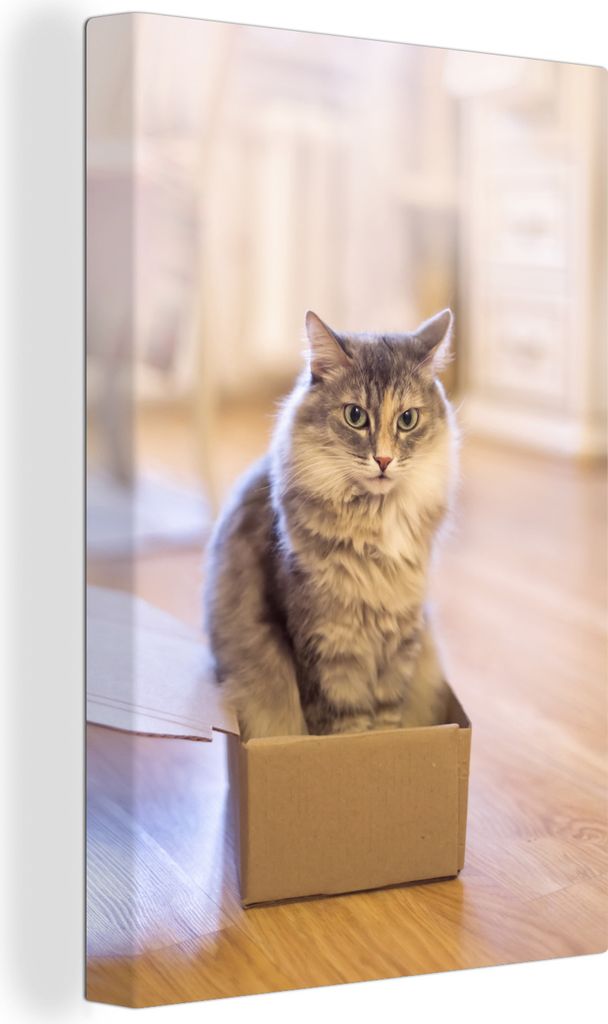 OneMillionCanvasses - Leinwandbilder - 90x140 cm, Niedliche Katze in kleiner Box, Wandbilder Kunstdruck Wanddekoration - Wandschmucke - Schlafzimmer